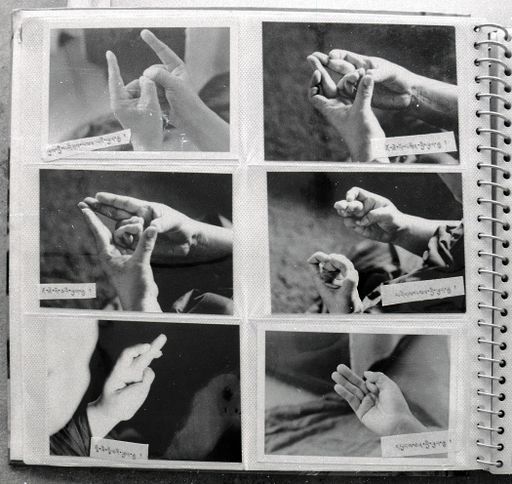 Dharamsala Mudra Buch (Kahlen_1145)