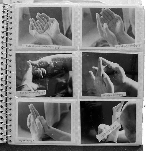 Dharamsala Mudra Buch (Kahlen_1146)