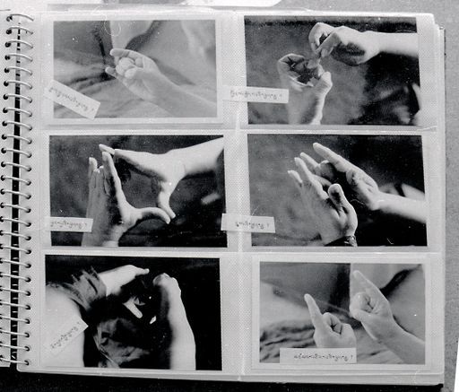 Dharamsala Mudra Buch (Kahlen_1147)