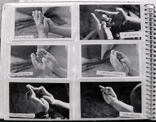 Dharamsala Mudra Buch (Kahlen_1148)