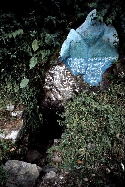 Dharamsala Quelle (Kahlen_1156)