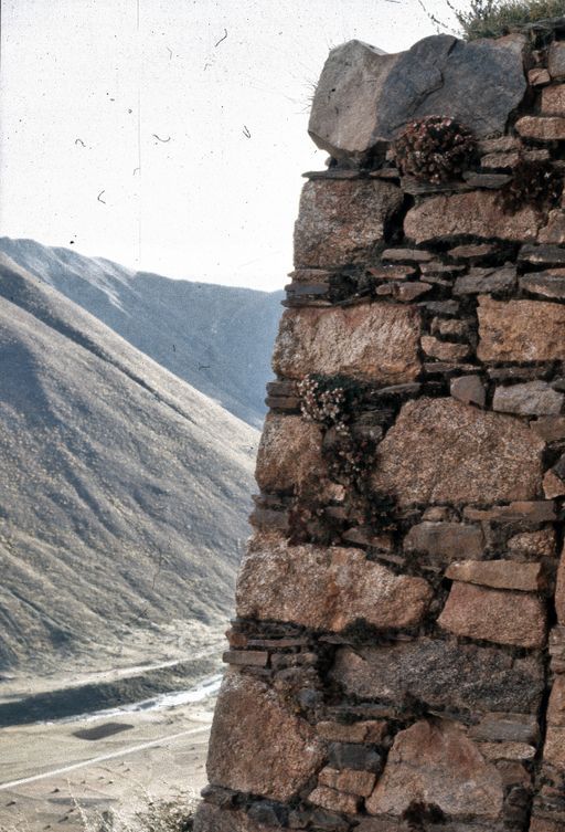 Drikung (Kahlen_1168)