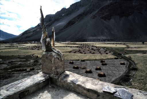 Spiti Hansa (Kahlen_1346)