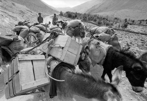 S W Tabo Spiti (Kahlen_1354)