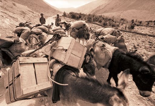 Tabo Spiti (Kahlen_1355)