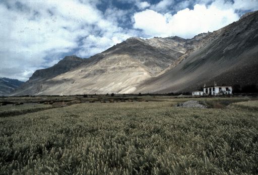 Hansa Gompa (Kahlen_1379)