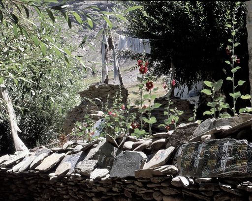 Shassur Gondla Lahul (Kahlen_1412)