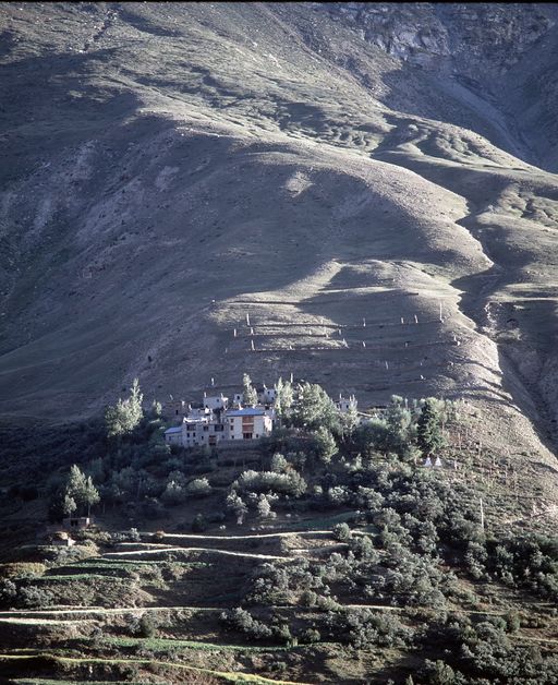 Shassur Gondla Lahul (Kahlen_1449)