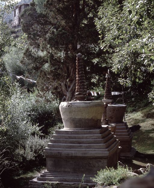Shassur Gondla Lahul (Kahlen_1459)
