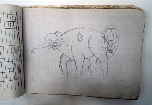 Ikonographie (Kahlen_0148)