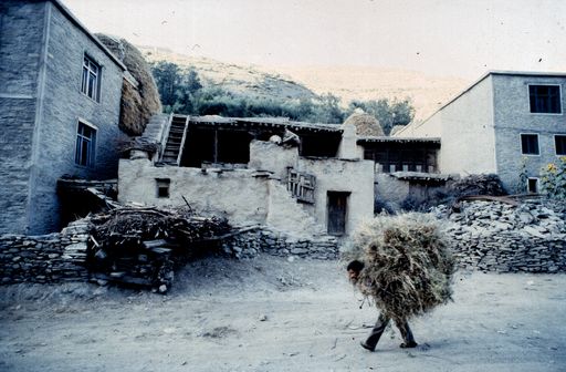 Im Dorf Triloknath (Kahlen_1486)