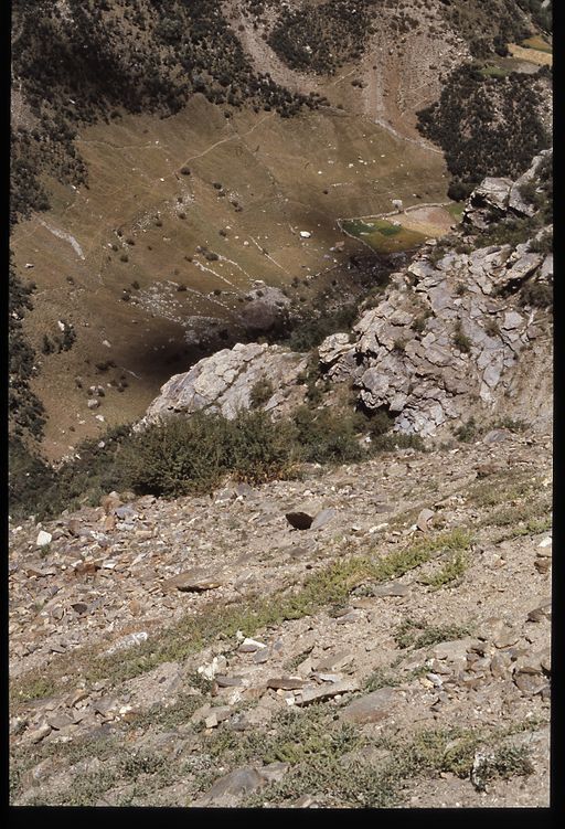Talblick (Kahlen_1505)