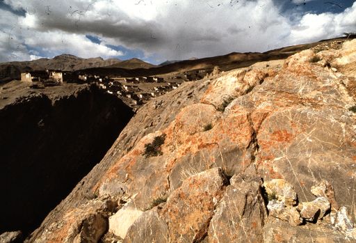 Spiti Khibber (Kahlen_1545)