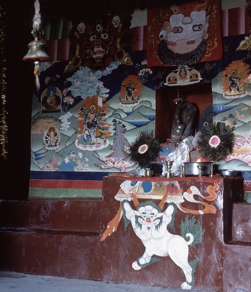 Spiti (Kahlen_1554)