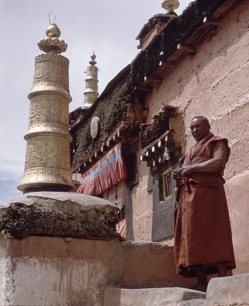 Spiti (Kahlen_1567)