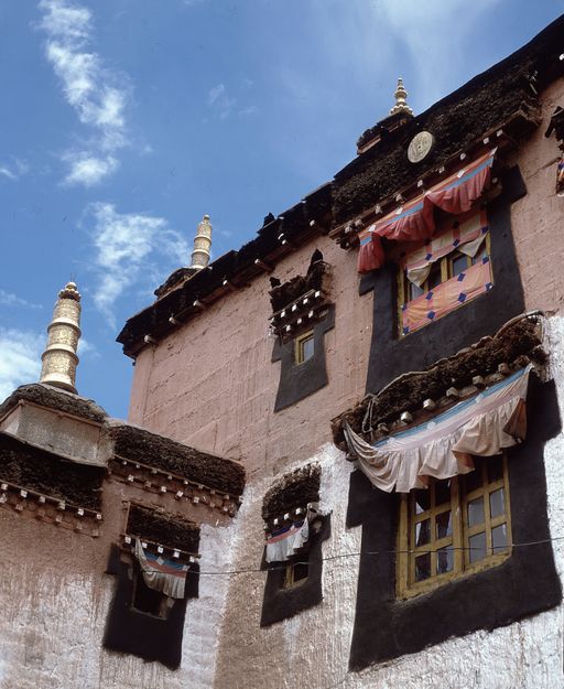 Spiti (Kahlen_1582)