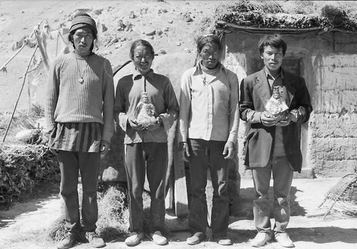 S W Spiti (Kahlen_1589)