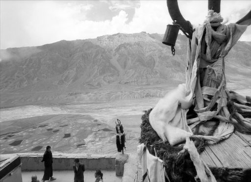Kye Spiti (Kahlen_1619)