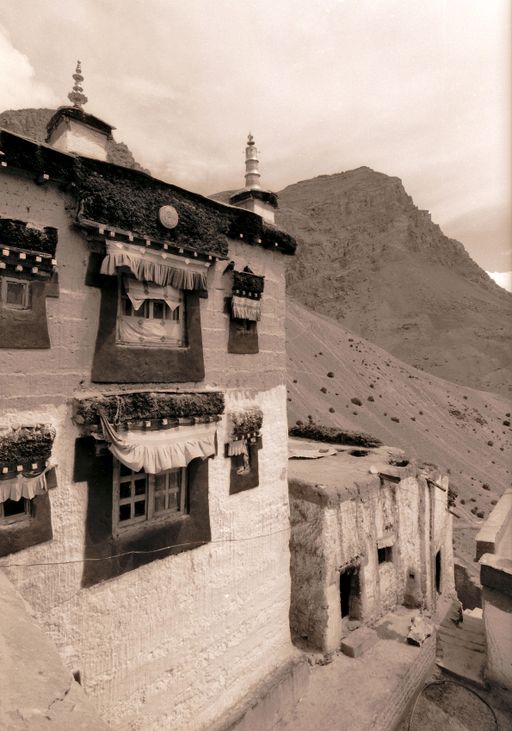Kye Spiti (Kahlen_1621)
