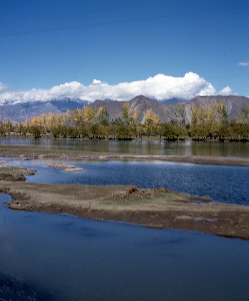 Lhasa (Kahlen_1697)