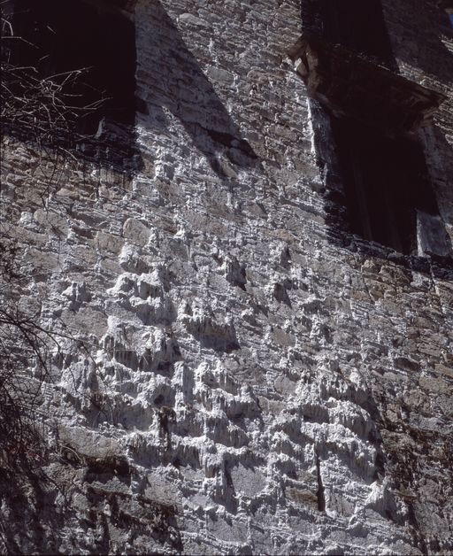 Lhasa (Kahlen_1724)