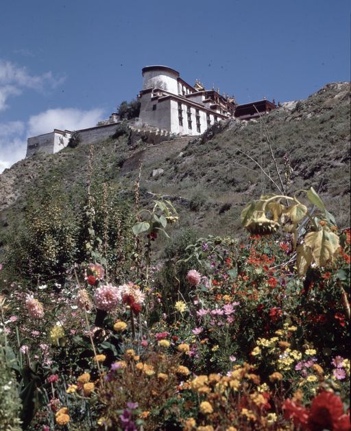 Lhasa (Kahlen_1726)
