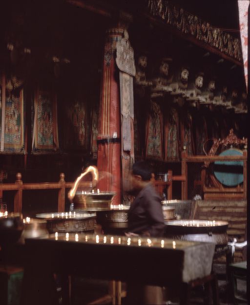 Lhasa (Kahlen_1732)