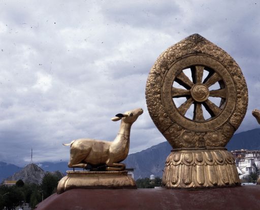 Lhasa (Kahlen_1740)