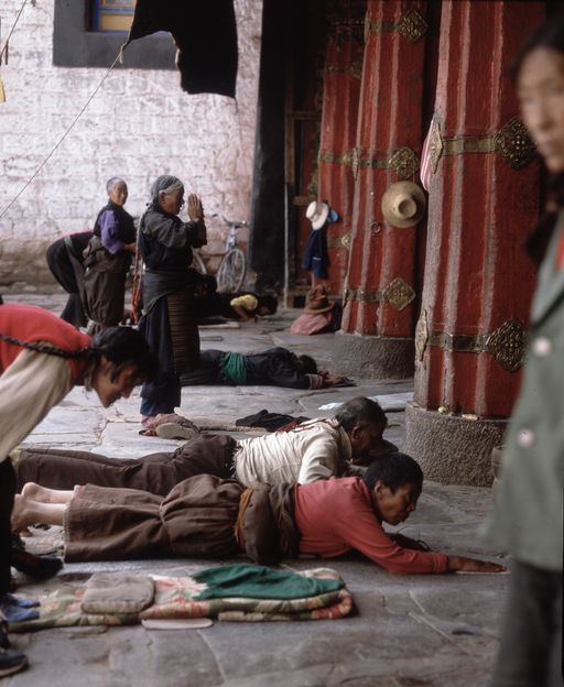 Lhasa (Kahlen_1741)