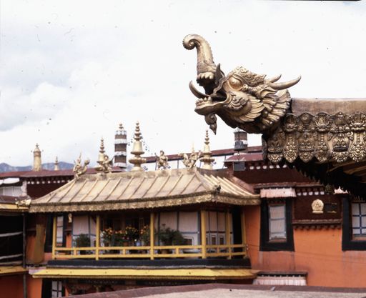 Lhasa (Kahlen_1745)
