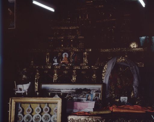 Lhasa (Kahlen_1754)
