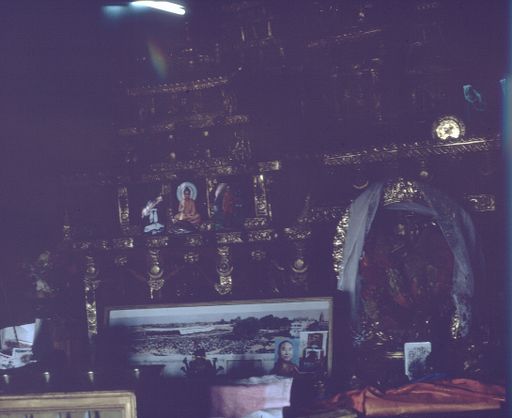 Lhasa (Kahlen_1756)