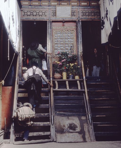 Lhasa (Kahlen_1758)