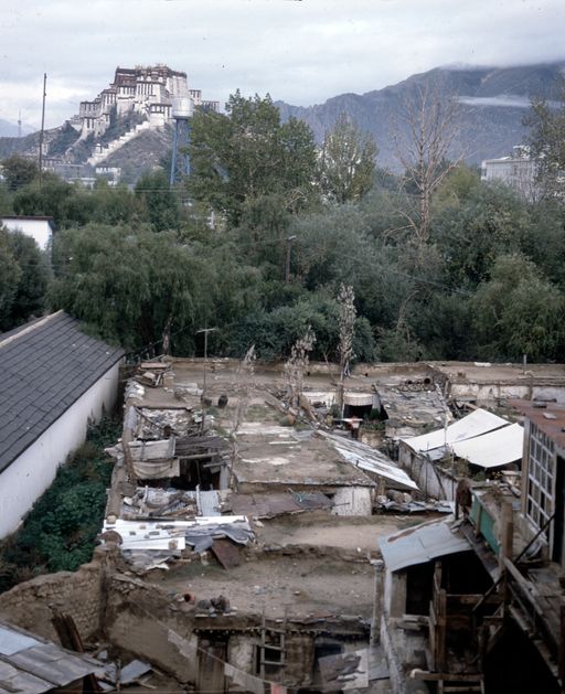 Lhasa (Kahlen_1759)