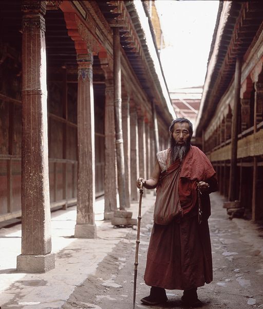 Lhasa (Kahlen_1766)