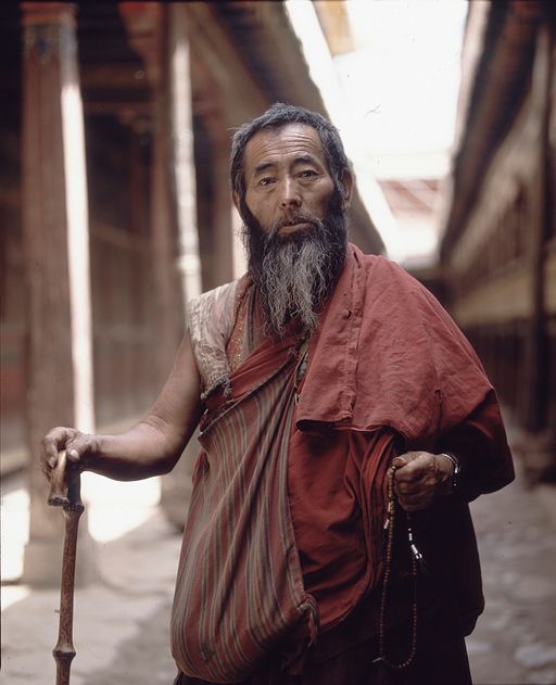 Lhasa (Kahlen_1767)