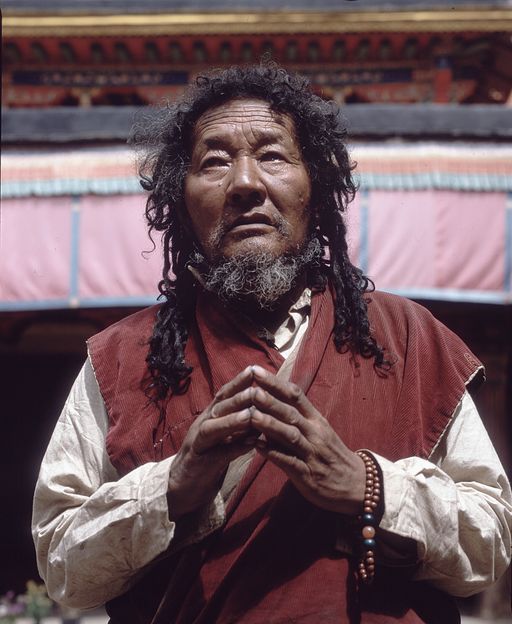 Lhasa (Kahlen_1771)