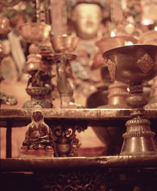 Lhasa (Kahlen_1772)
