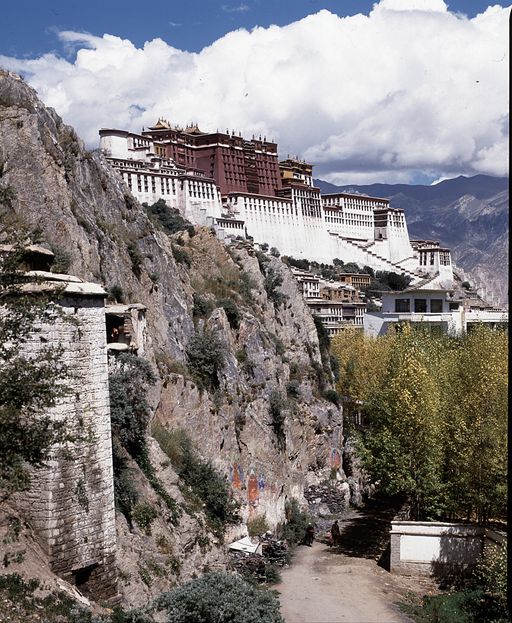 Lhasa (Kahlen_1775)