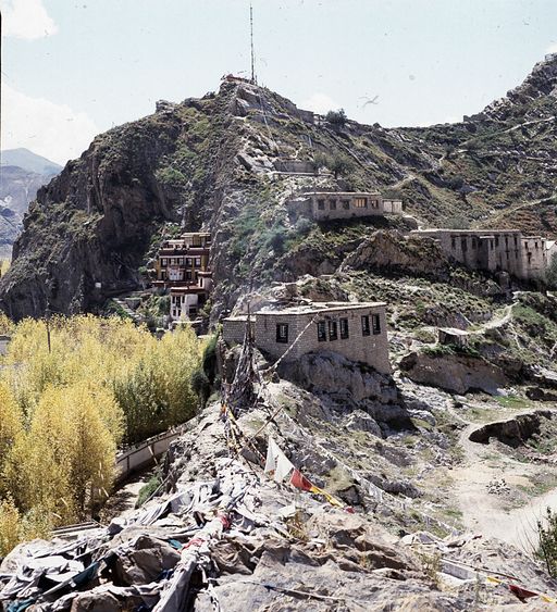 Lhasa (Kahlen_1777)