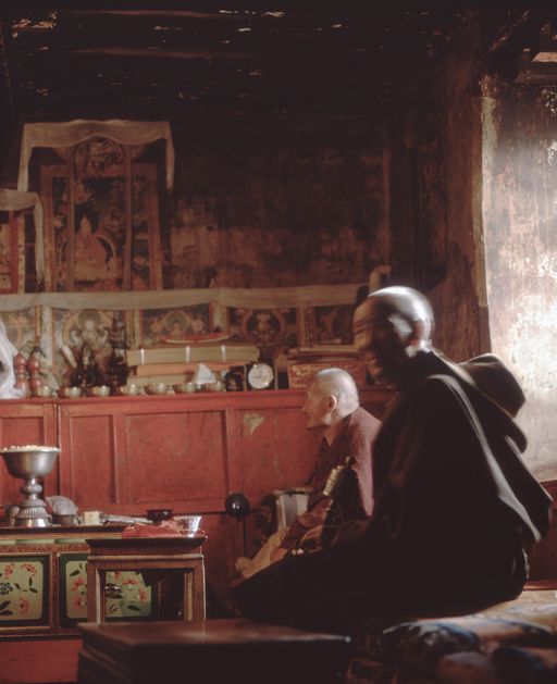 Lhasa (Kahlen_1781)