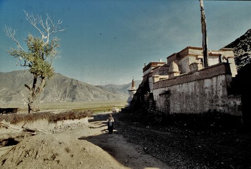Katsel (Kahlen_1806)