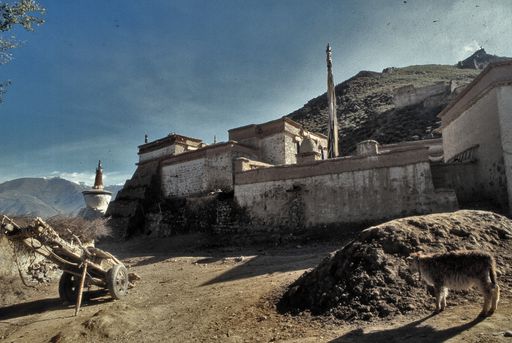 Katsel (Kahlen_1807)