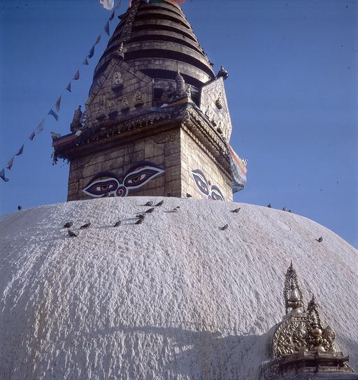 Nepal (Kahlen_1822)