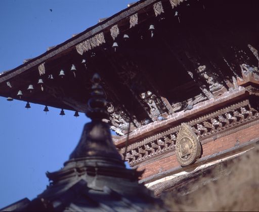 Nepal (Kahlen_1831)