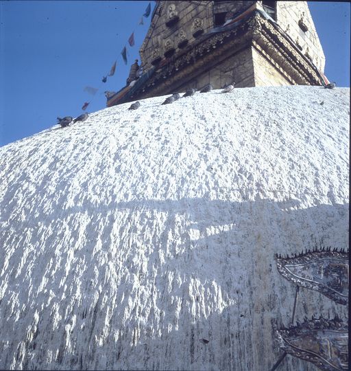 Nepal (Kahlen_1836)