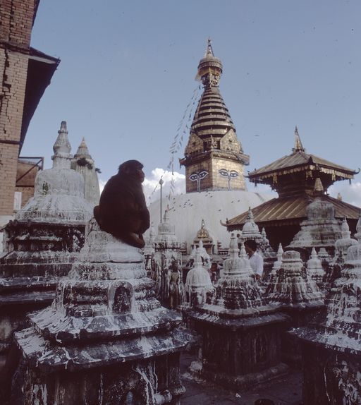 Nepal (Kahlen_1841)