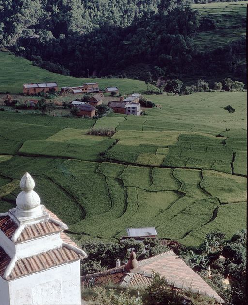 Nepal (Kahlen_1842)