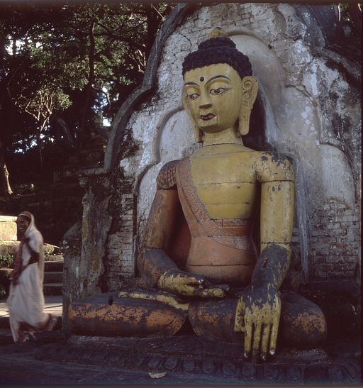 Nepal (Kahlen_1856)