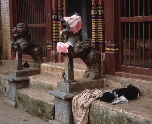 Nepal (Kahlen_1860)